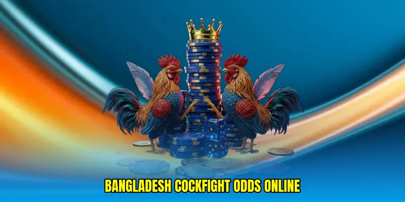 Bangladesh cockfight odds online