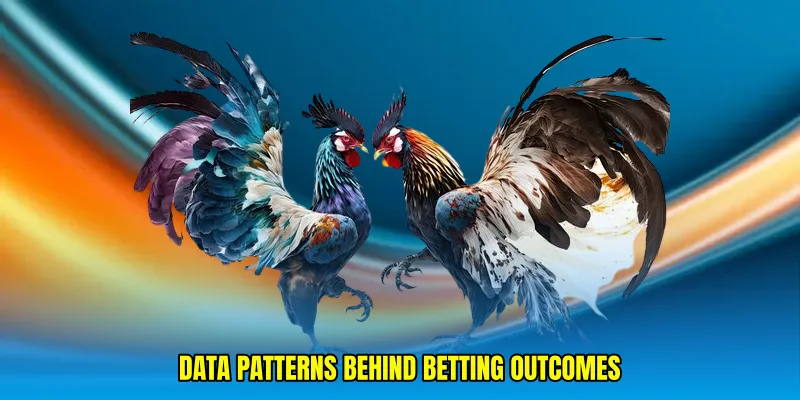 Data patterns behind betting outcomes